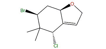 Chondrocole C